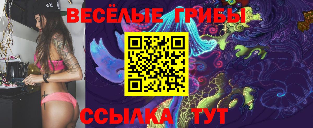 Россия  Галлюциногенные грибы мицелий  Вход с VPN 